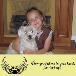 Meet your Posher, Kaylee